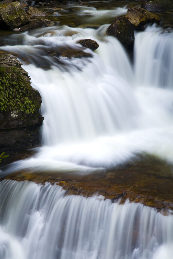 Australia, Tasmania, Cradle Mt - Lake St Clair National Park. D'alton Falls on the Overland Track