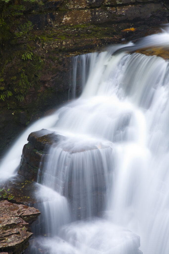 Australia, Tasmania, Cradle Mt - Lake St Clair National Park. D'alton Falls on the Overland Track