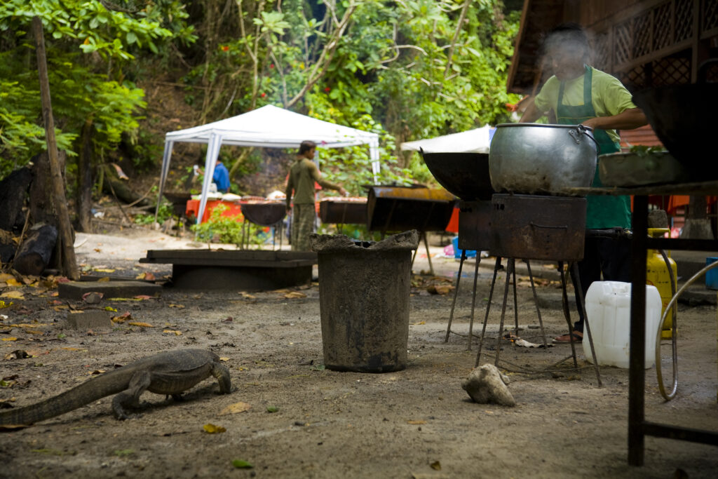 Borneo, Sabah Malaysia, Tunku Abdul Rahman Park. Monitor lizard scavenging for food as the locals prepare a meal for visiting tourists on Sapi Island.