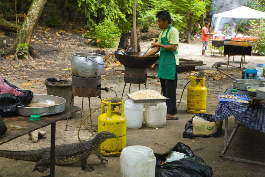 Borneo, Sabah Malaysia, Tunku Abdul Rahman Park. Monitor lizard scavenging for food as the locals prepare a meal for visiting tourists on Sapi Island.