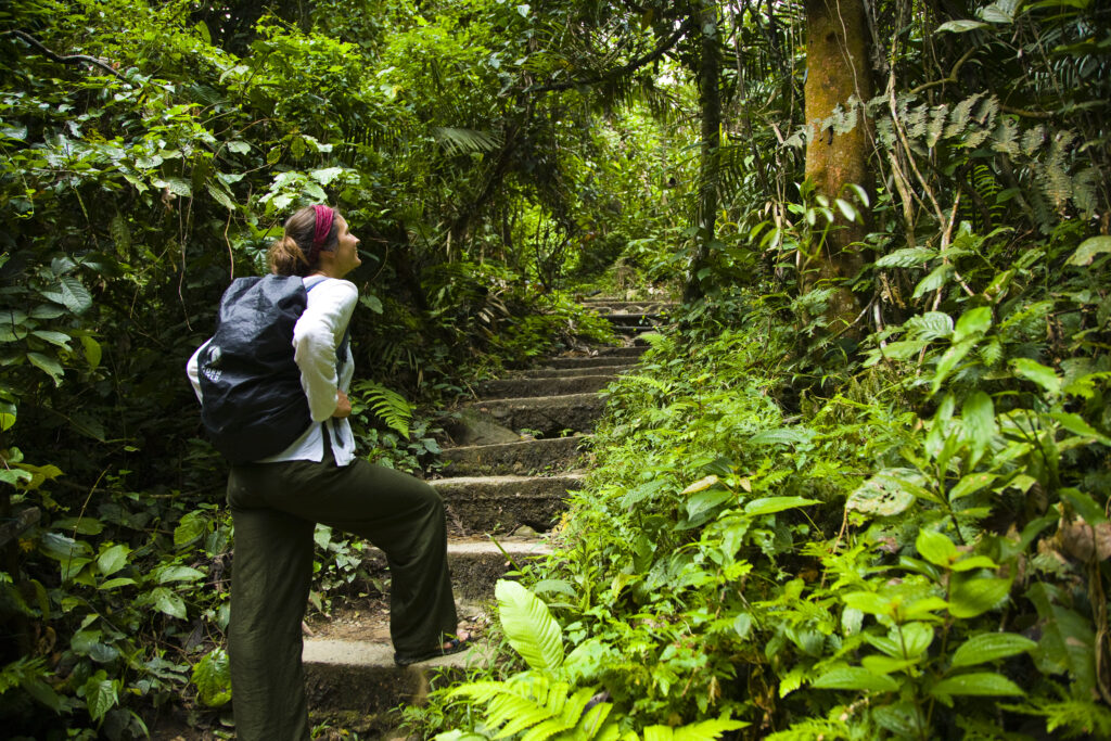 Sabah Malaysia, Borneo, Kinabalu National Park. Tourist admiring the lush jungle near the canopy walkway at Poring Hot Springs.