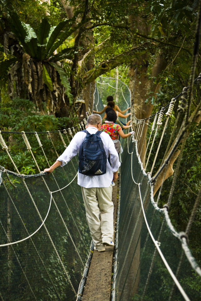 Sabah Malaysia, Borneo, Kinabalu National Park. Tourists walking the jungle canopy walkway at Poring Hot Springs.
