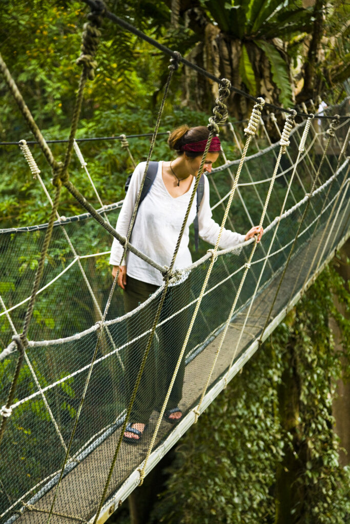 Sabah Malaysia, Borneo, Kinabalu National Park. Tourist walking the jungle canopy walkway at Poring Hot Springs.