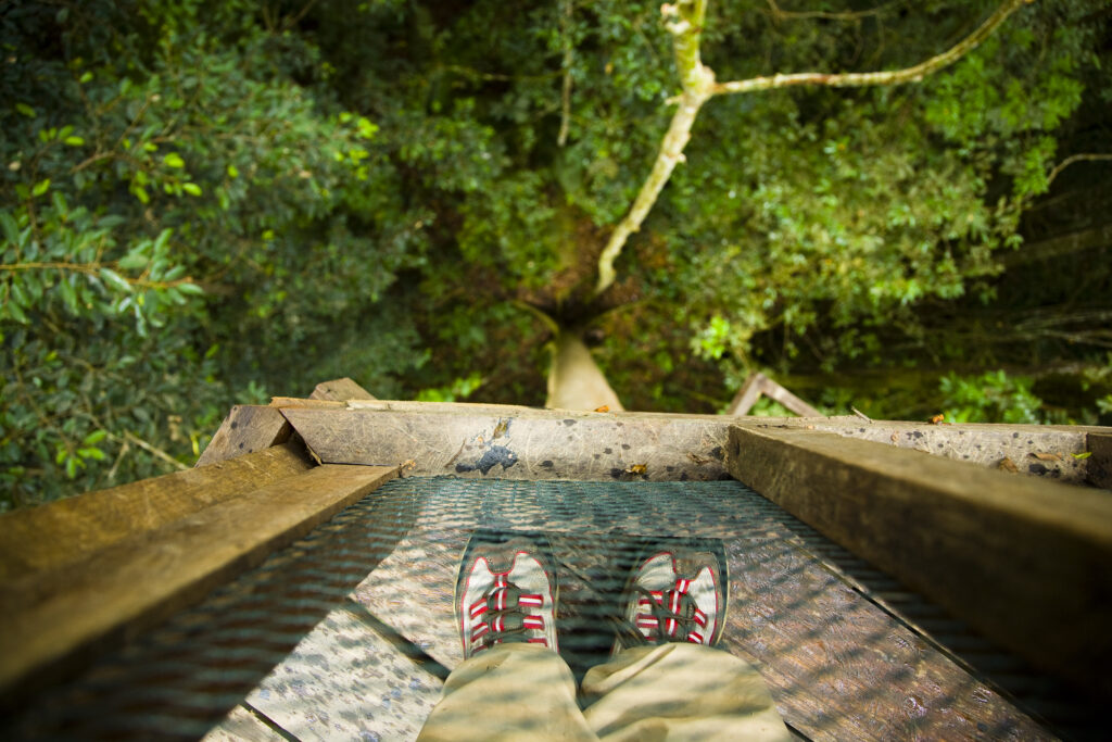 Sabah Malaysia, Borneo, Kinabalu National Park. Looking down to the jungle floor from the canopy walkway platform at the Poring Hot Springs,