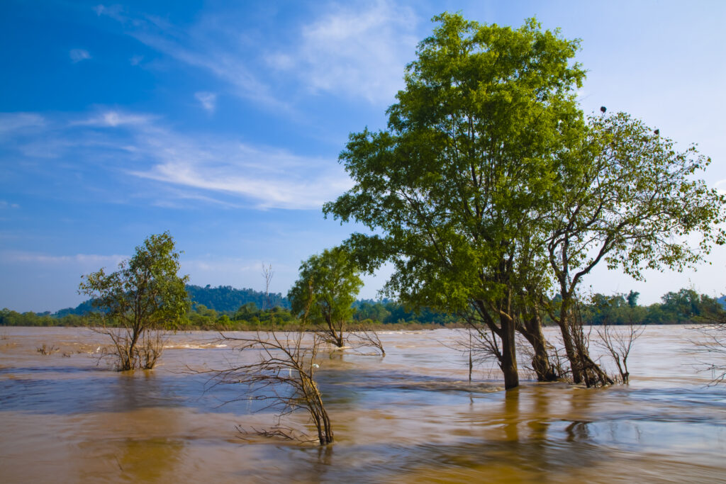 Laos, Si Phan Don (Four Thousand Islands), Don Khon. The Mekong River near the island of Don Khon.