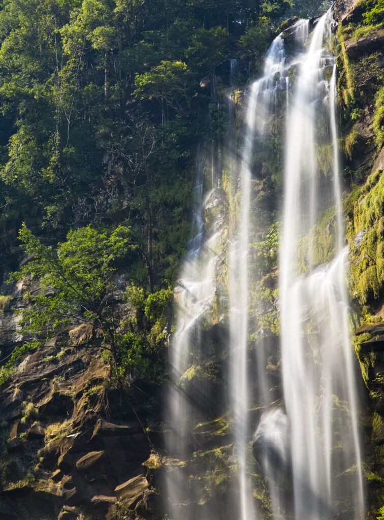 Laos, Ban Na Hin, Waterfall. Shafts of light pass through vegetation hanging to the rock face near a waterfall.