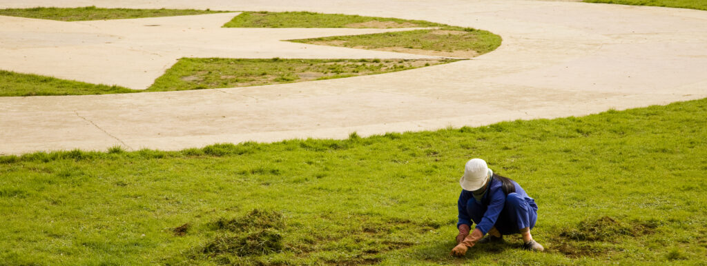 Vietnam, Northern Vietnam, Sapa. Vietnamese woman weeding grass in the park.