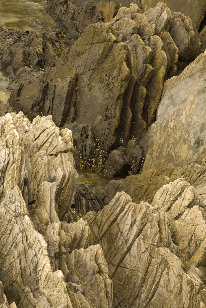 Vietnam, Northern Vietnam, Halong Bay. Rock formations of the coastline near Cat Ba town on Cat Ba island in Halong Bay.