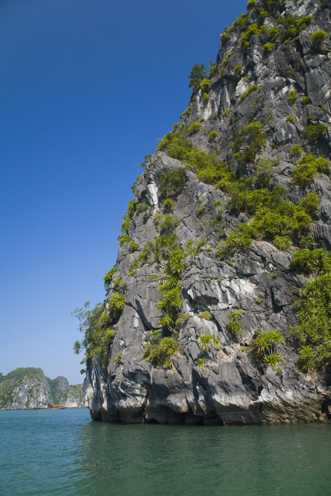 Vietnam, Northern Vietnam, Halong Bay. Vegetation covered islands in Halong Bay near Cat Ba Island.