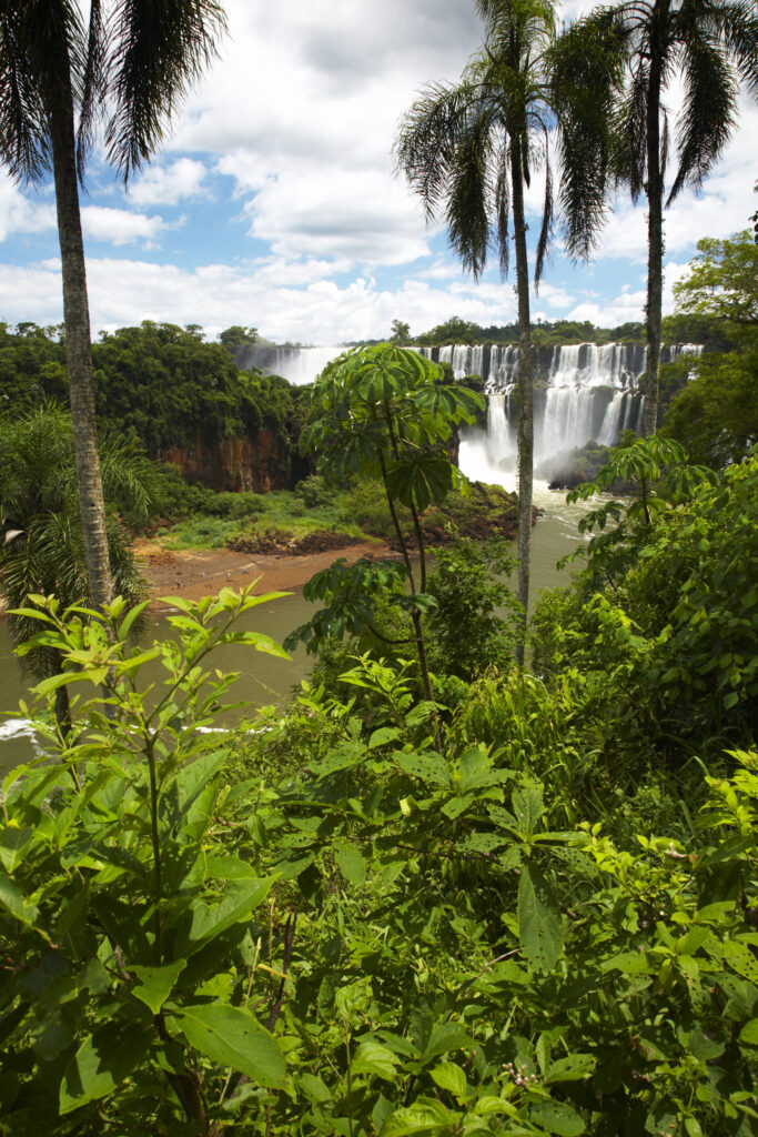 Argentina, Misiones, Iguazu National Park. The impressive Iguazu waterfalls - A world heritage site.
