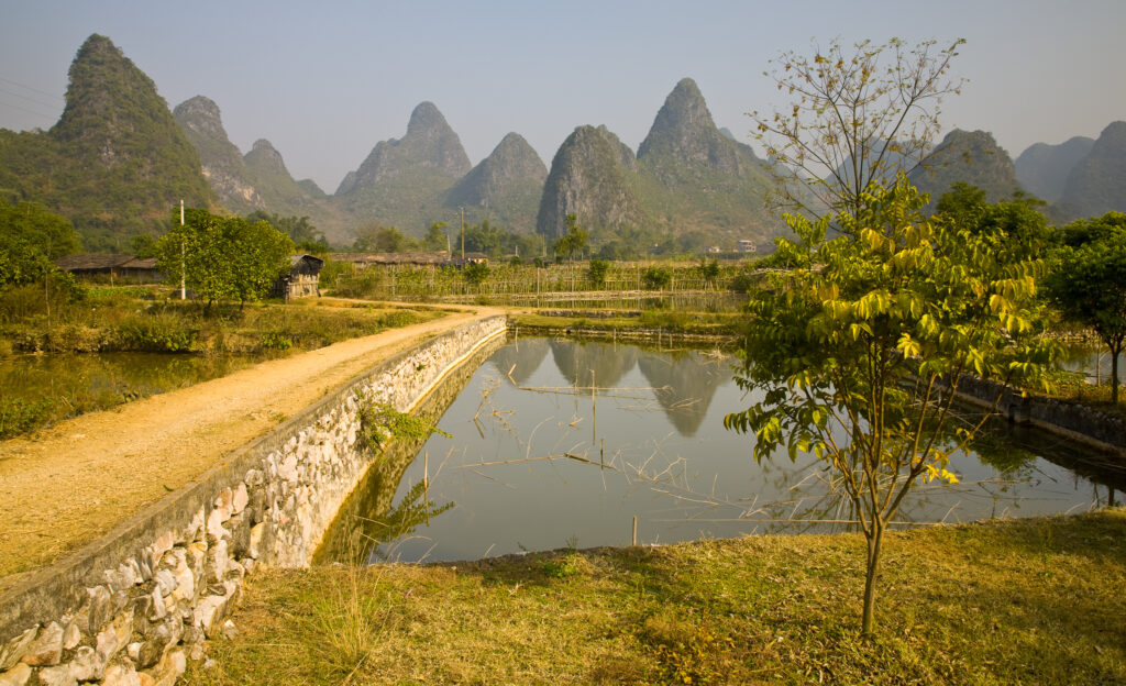 China, Guangxi Zhuang Autonomous Region, Yangshuo County. Agriculture landscape dominated by the Karst peaks of Yangshuo County near the town of Yangshuo.
