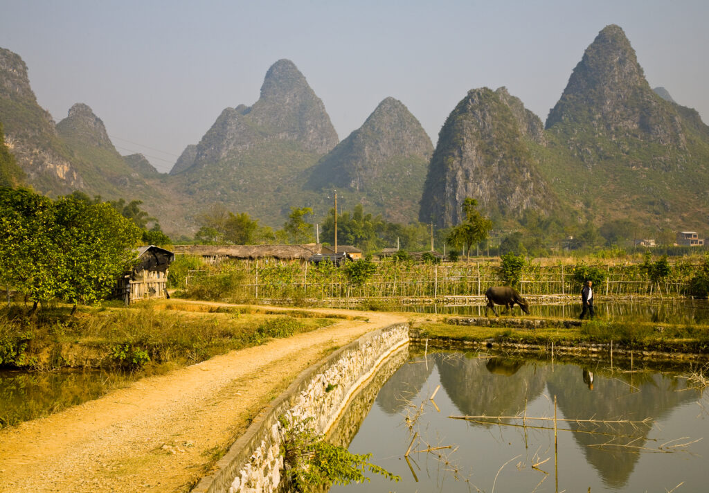 China, Guangxi Zhuang Autonomous Region, Yangshuo County. Agriculture landscape dominated by the Karst peaks of Yangshuo County near the town of Yangshuo.
