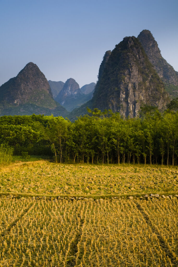China, Guangxi Zhuang Autonomous Region, Yangshuo County. Agriculture landscape dominated by the Karst peaks of Yangshuo County near the town of Yangshuo.
