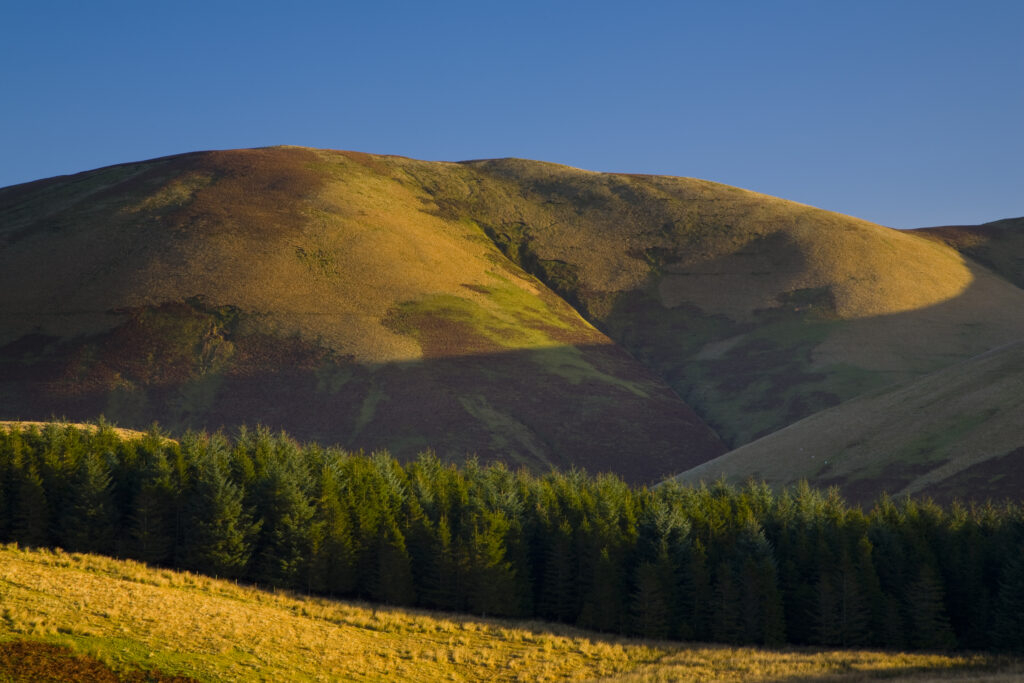 Scotland, Scottish Borders, Liddesdale. Rolling hills and forest plantation near the Dunfries and Galloway border in the Liddesdale area.