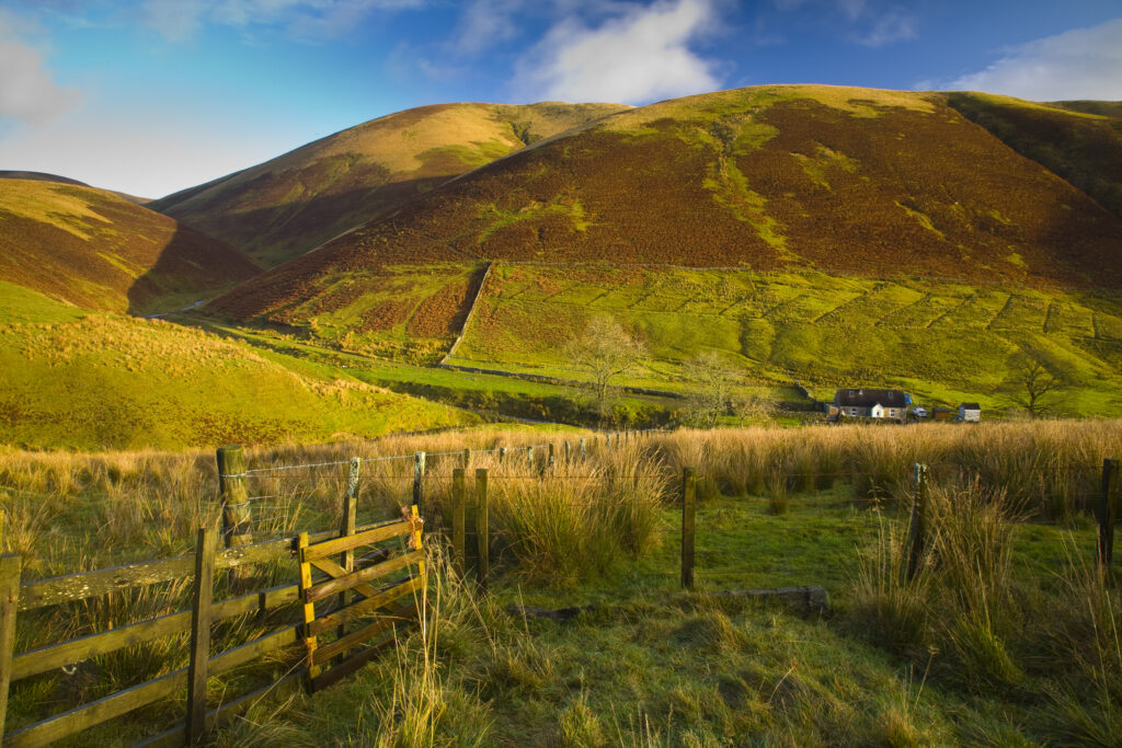 Scotland, Scottish Borders, Liddesdale. Farm gate and undulating scenery near Liddesdale.