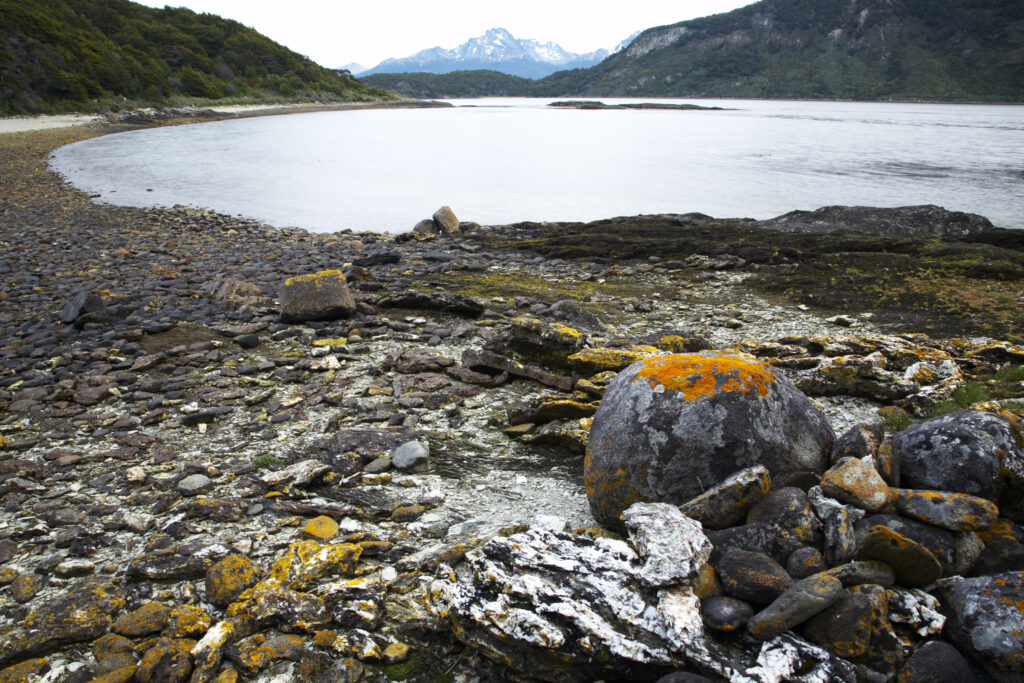 Argentina, Tierra Del Fuego, Tierra Del Fuego National Park. The rocky shoreline of Lapataia Bay.