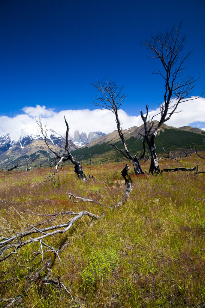 RF - Chile, Southern Patagonia, Torres Del Paine National Park. Clouds engulf the dramatic peaks of the Torres del Paine, viewed from near the start of the Circuit track.