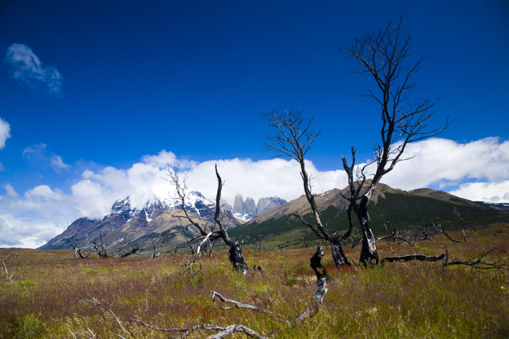 RF - Chile, Southern Patagonia, Torres Del Paine National Park. Clouds engulf the dramatic peaks of the Torres del Paine, viewed from near the start of the Circuit track.