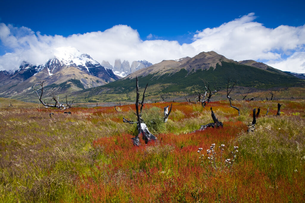 RF - Chile, Southern Patagonia, Torres Del Paine National Park. Clouds engulf the dramatic peaks of the Torres del Paine, viewed from near the start of the Circuit track.
