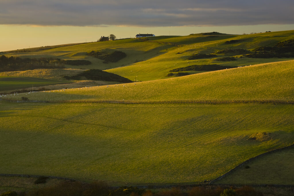 Scotland, Scottish Borders, St Abbs. Farmhouse and fields, looking west from the St Abbs National Nature Reserve.