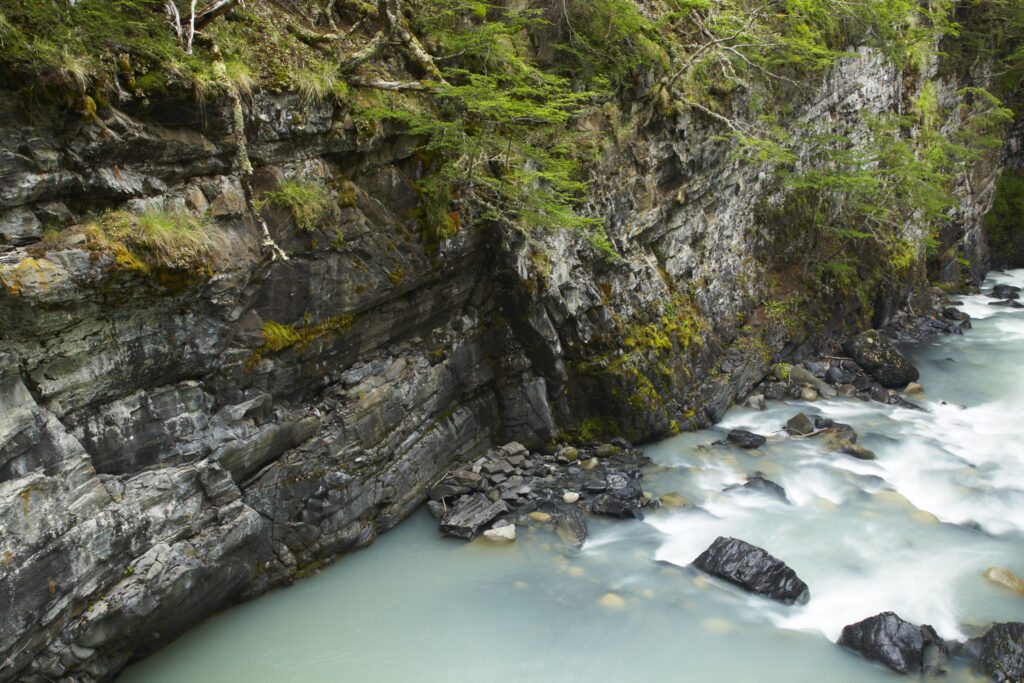 Chile, Southern Patagonia, Torres Del Paine National Park. Rapids on the Rio de los Perro running through a forested gorge on the 'Circuit' track.