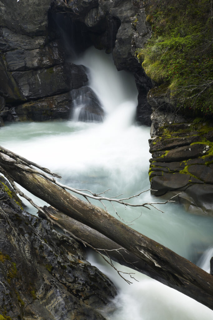 Chile, Southern Patagonia, Torres Del Paine National Park. Rapids on the Rio de los Perro running through a forested gorge on the 'Circuit' track.