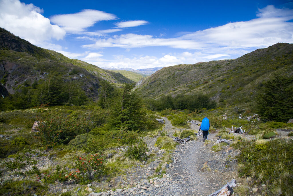 Chile, Southern Patagonia, Torres Del Paine National Park. Hiker walking the circuit / W track heading towards the Pehoe refuge.