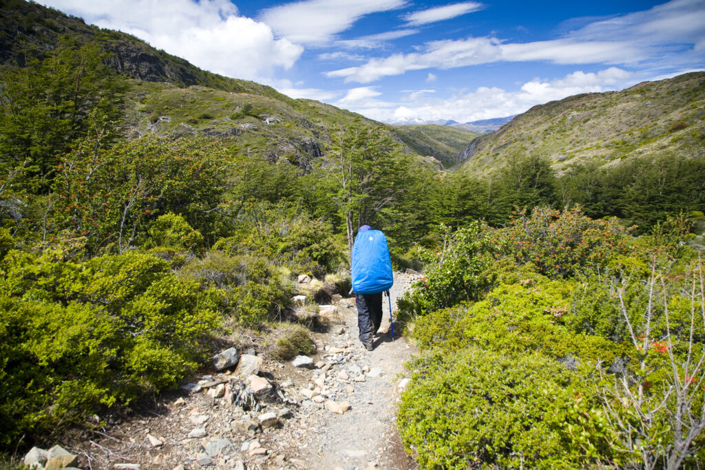 Chile, Southern Patagonia, Torres Del Paine National Park. Hiker walking the circuit / W track heading towards the Pehoe refuge.