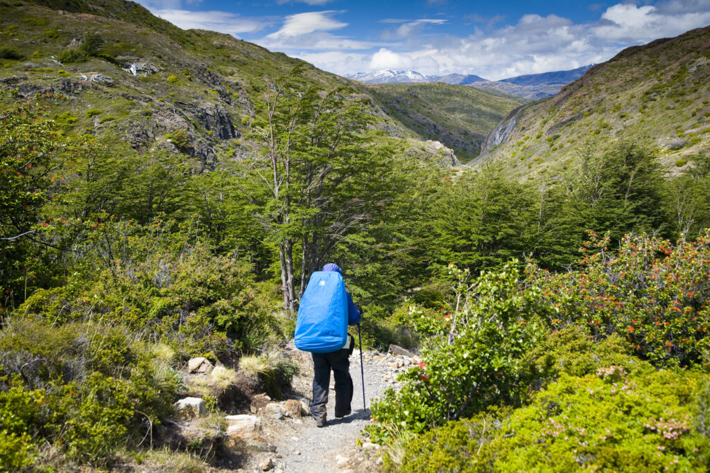 Chile, Southern Patagonia, Torres Del Paine National Park. Hiker walking the circuit / W track heading towards the Pehoe refuge.