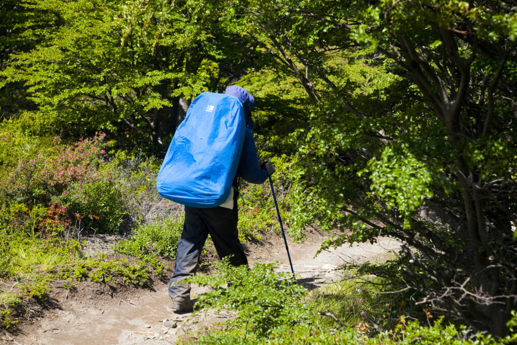 RF - Chile, Southern Patagonia, Torres Del Paine National Park. Hiker walking the circuit / W track heading towards the Pehoe refuge.