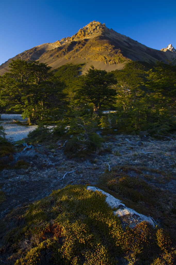 Argentina, Patagonia, Los Glaciares National Park. Early morning light on the foothills of the Fitz Roy range, by the Poincenot campsite.