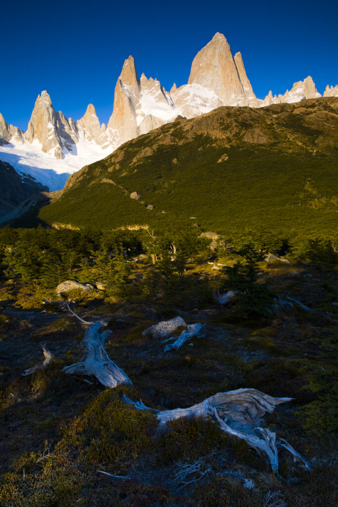 Argentina, Patagonia, Los Glaciares National Park. Early morning light on the foothills of the Fitz Roy range, by the Poincenot campsite.