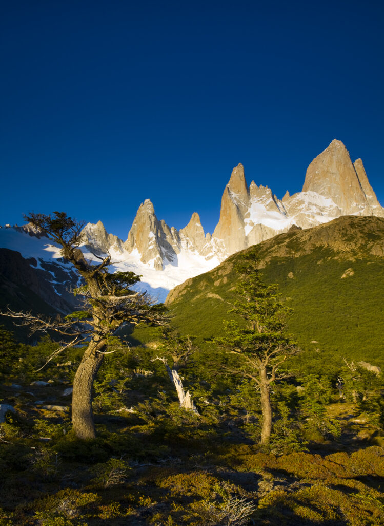 Argentina, Patagonia, Los Glaciares National Park. Early morning light on the foothills of the Fitz Roy range, by the Poincenot campsite.