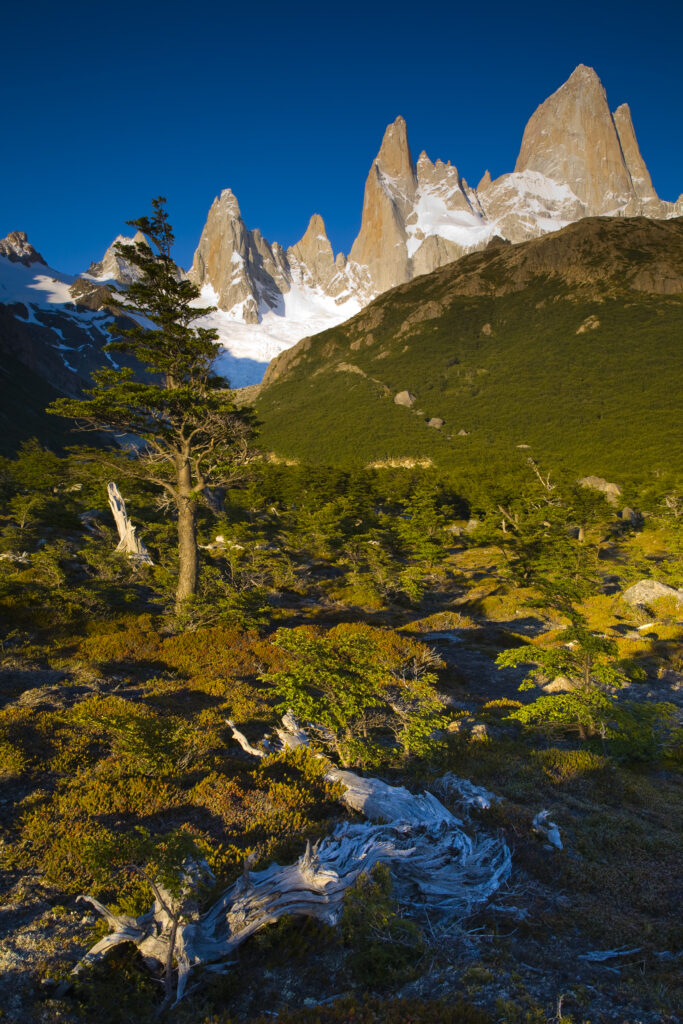 Argentina, Patagonia, Los Glaciares National Park. Early morning light on the foothills of the Fitz Roy range, by the Poincenot campsite.