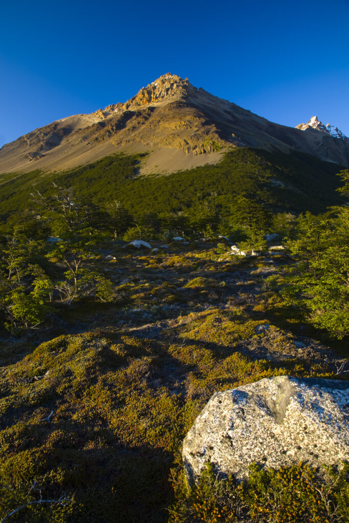 Argentina, Patagonia, Los Glaciares National Park. Early morning light on the foothills of the Fitz Roy range, by the Poincenot campsite.