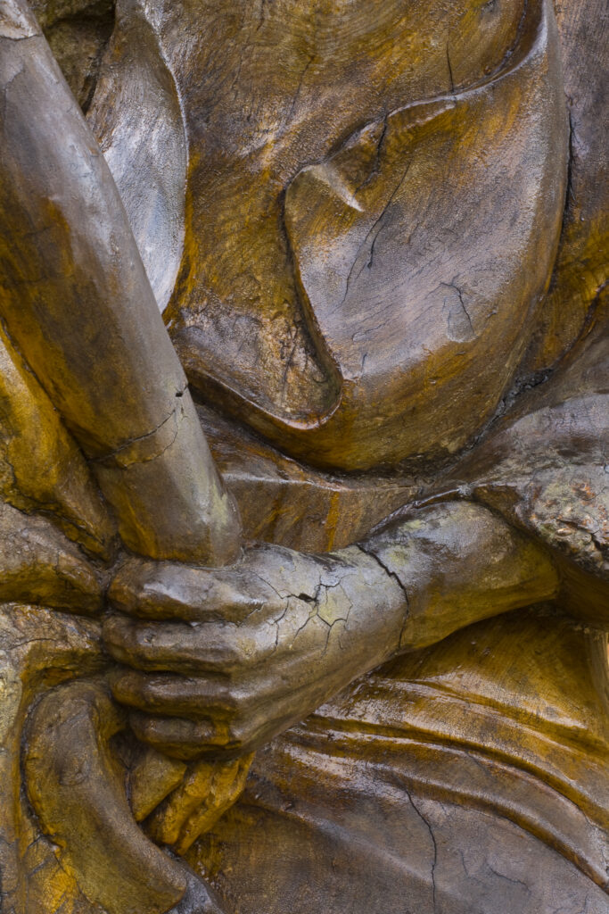 Scotland, Scottish Borders, Thornielee Forest. Close up view of a wooden sculpture in the Thornielee forest, part of the Tweed valley Forest park located in the main woodland corridor between Peebles and Selkirk.