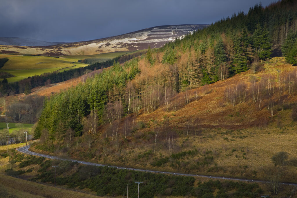 Scotland, Scottish Borders. A breaking storm reveals a dusting of snow on the Moorfoot Hills. The popular Glentress forest can be seen in the foreground.