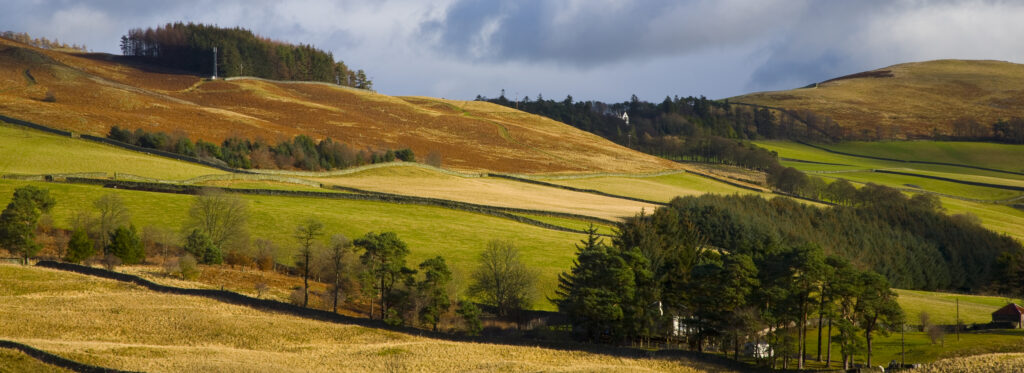 Scotland, Scottish Borders, Tweed Valley.Panoramic view of the Tweed Valley, viewed from near Walkerburn.
