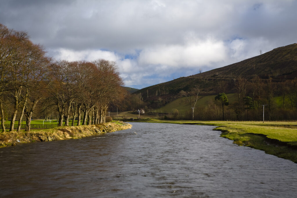 Scotland, Scottish Borders, Tweed Valley. The River Tweed near the small village of Walkerburn in the Tweed Valley.