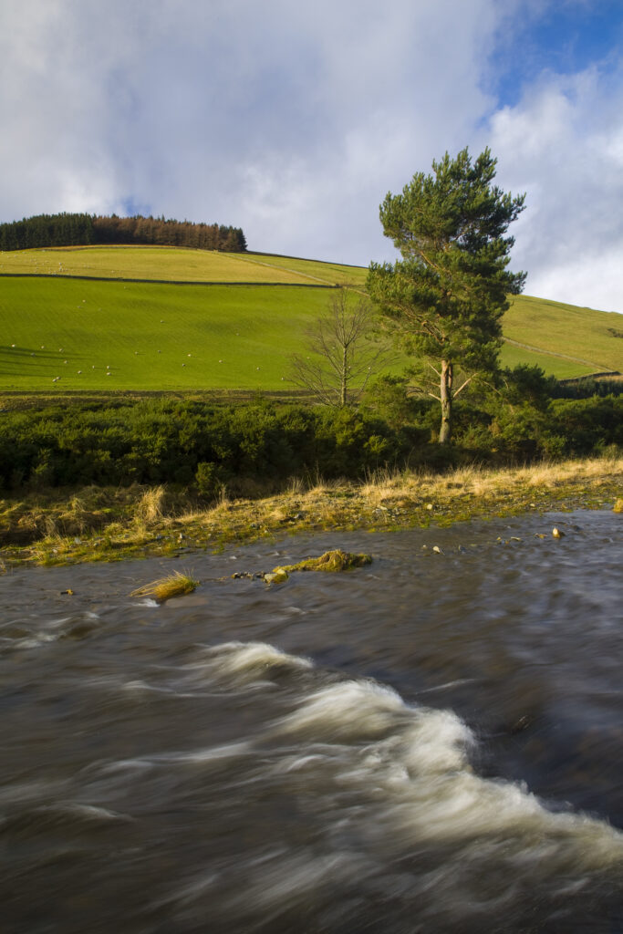 Scotland, Scottish Borders, Leithen Water. The gentle flowing rapids of Leithen Water.