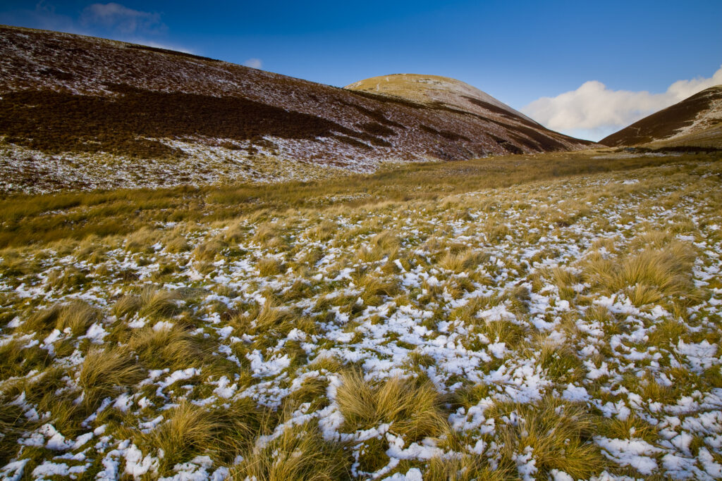 Scotland, Scottish Borders. A sprinkle of snow on the slopes of Leithen Hopes.