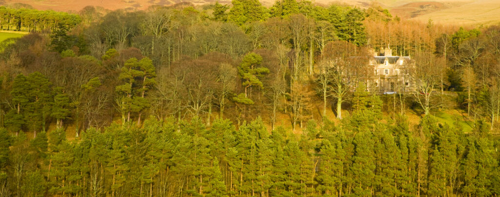 Scotland, Scottish Borders. Grand house located in forest plantation east of Gala Water.