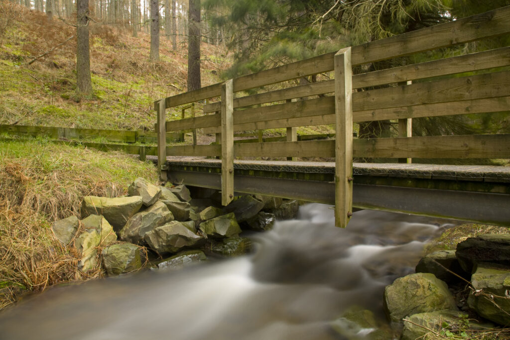 Scotland, Scottish Borders, Cardrona. A public footbridge crossing over the Kirk Burn in the forest of Cardrona.