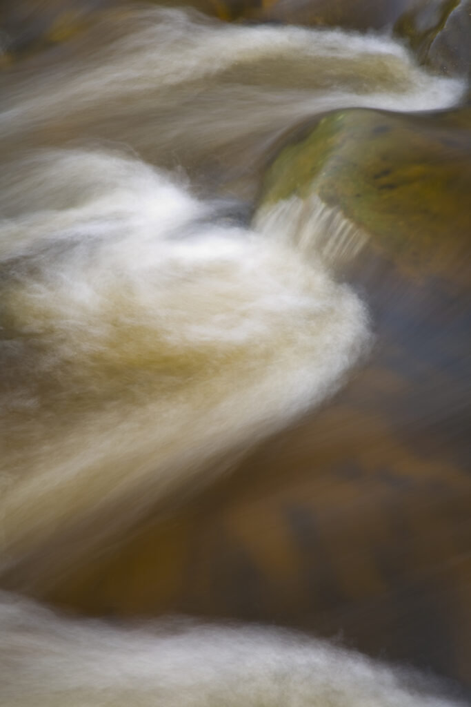 Scotland, Scottish Borders, Liddesdale. Detail of a fast flowing stream found in Liddesdale.