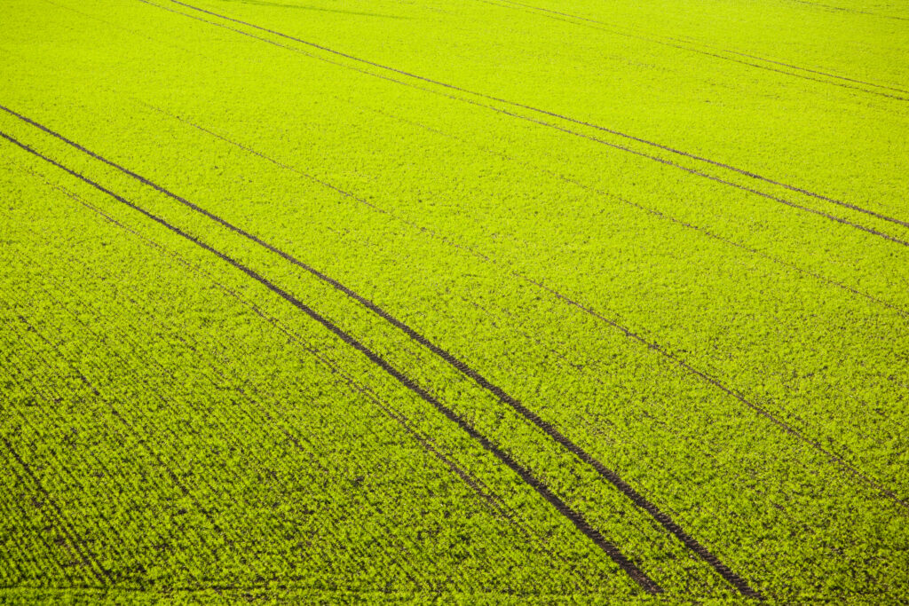 Scotland, Scottish Borders, Hareheugh. Patterns in agriculture land near Hareheugh.
