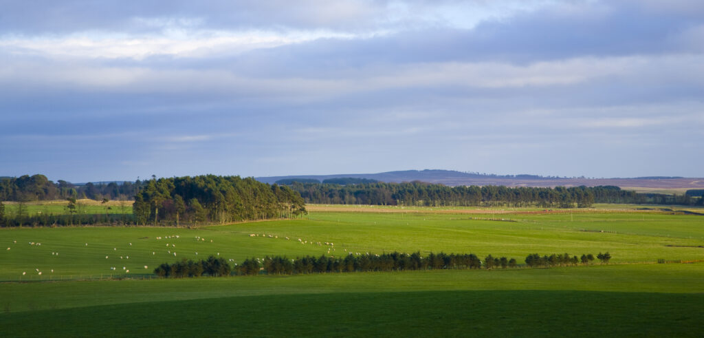 Scotland, Scottish Borders, Harelaw Moor. Panoramic view of the Harelaw Moor region.