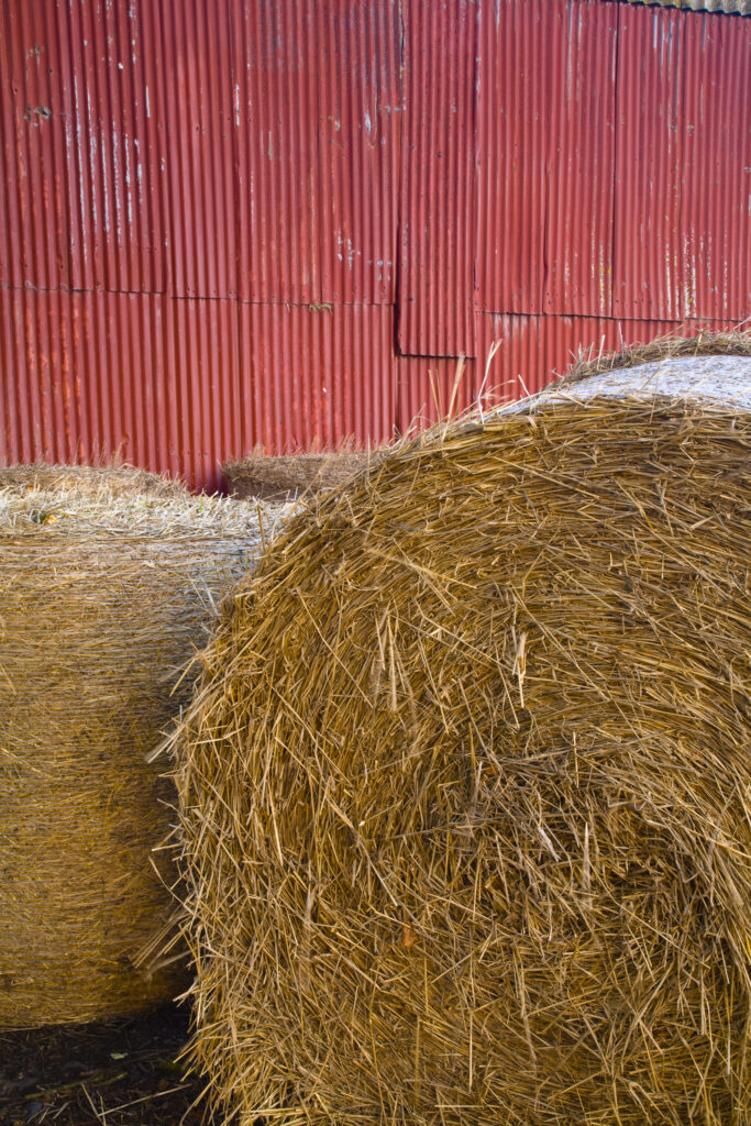 Scotland, Scottish Borders, Duns. Hay bales stacked outside a barn near Duns.