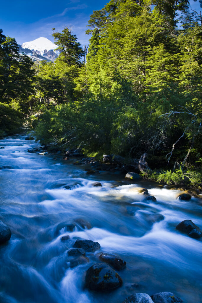 Argentina, The Lake District, Parque Nacional Lanin. Fast flowing river downstream of the Lanin Volcano in the Lanin National Park.