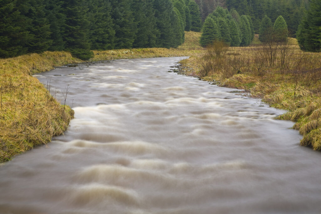 Scotland, Scottish Borders, Craik Forest, Tima Water meanders through Craik Forest.