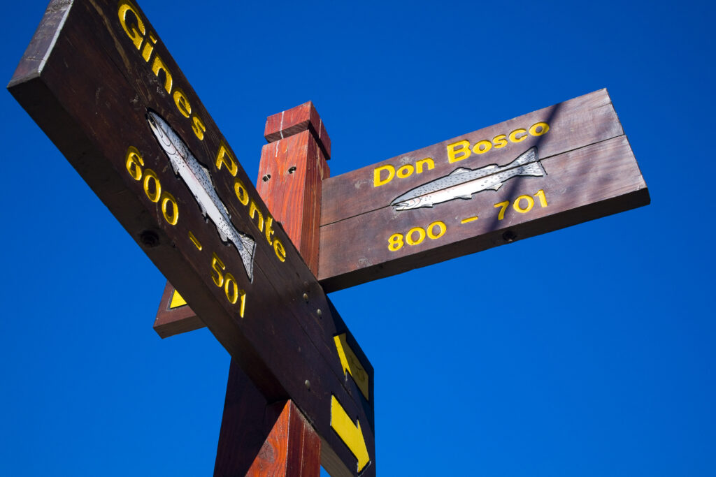Argentina, The Lake District, Junín De Los Andes. Street sign with trout fish against a blue sky in Junín De Los Andes.